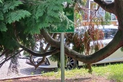 Bild4